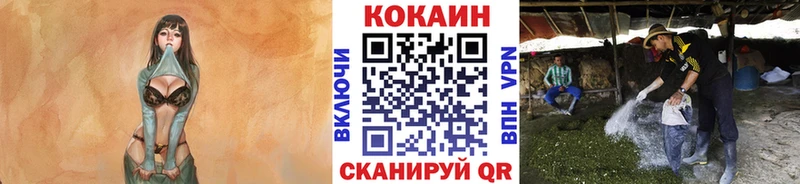 КОКАИН Эквадор как найти закладки Духовщина