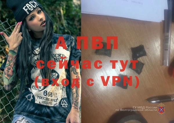 дмт Рославль