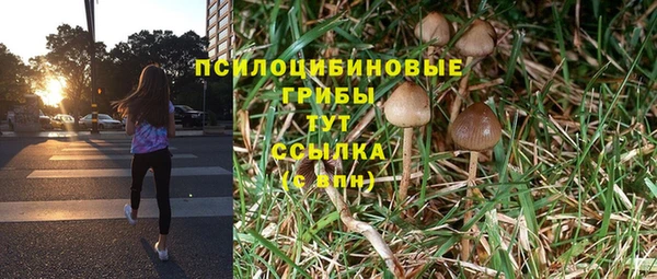 соль ск Абаза