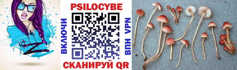 Галлюциногенные грибы Cubensis  Духовщина 